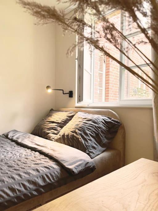 Natural Apartment In The City Center - Old Town 브로츠와프 외부 사진