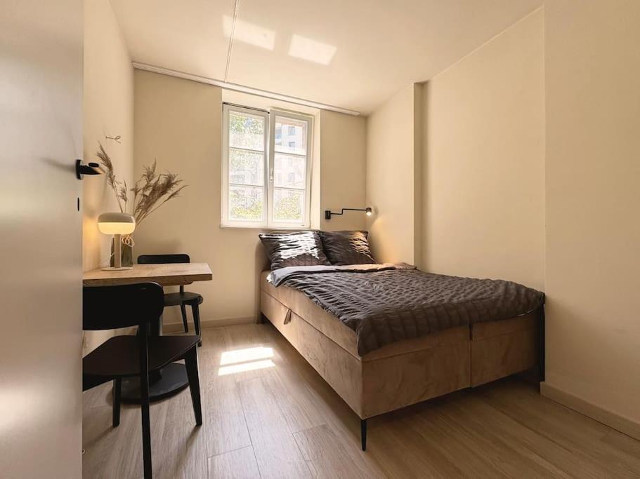 Natural Apartment In The City Center - Old Town 브로츠와프 외부 사진